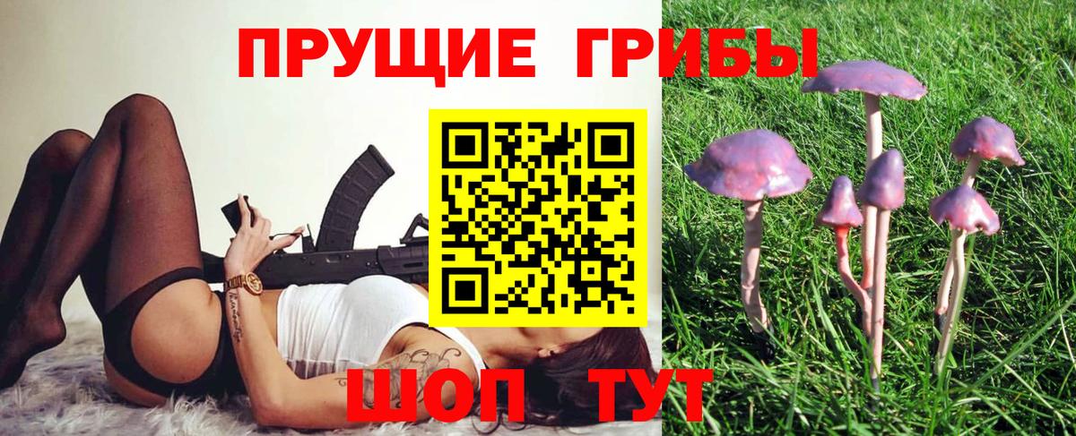 Тихвин  магазин  наркотиков  Вход с VPN  Псилоцибиновые грибы мицелий 